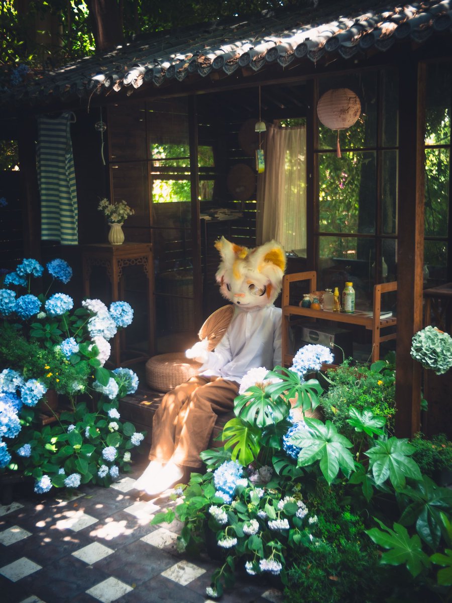 13219340wer's tweet photo. 暑いな https://t.co/ZCtvzD0igM
