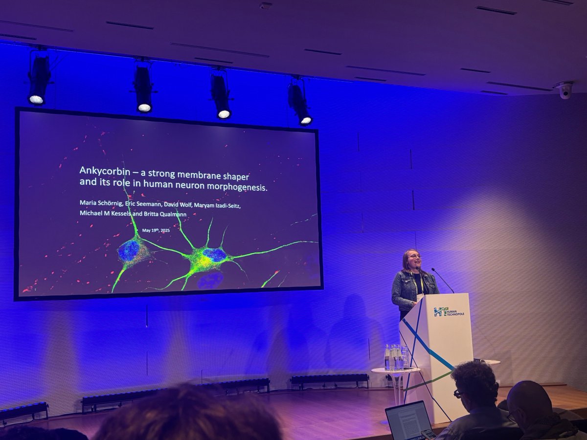 MSchornig's tweet photo. Thanks for having me! I am enjoying the conference a lot! @humantechnopole @TavernaElena #neurogen25 https://t.co/gWVEZMYMos