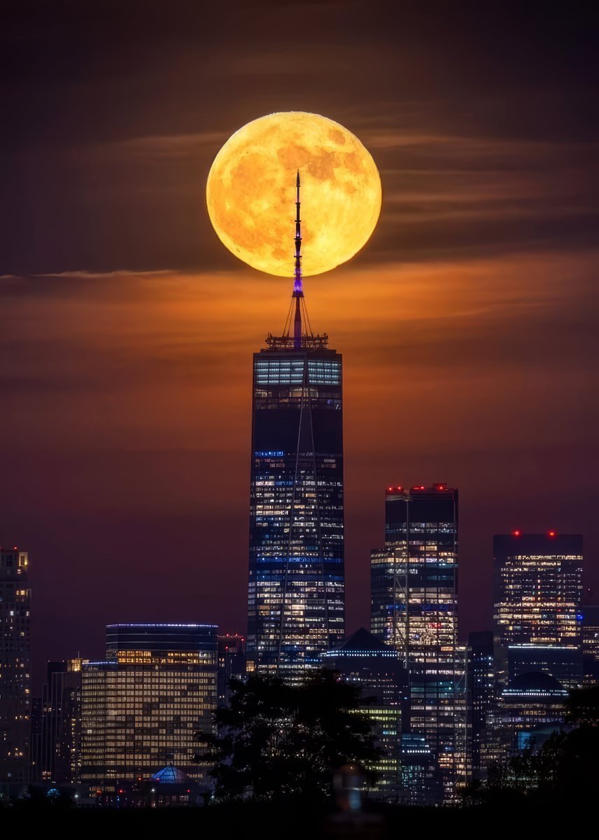 MOON (@dailymoonx) on Twitter photo 