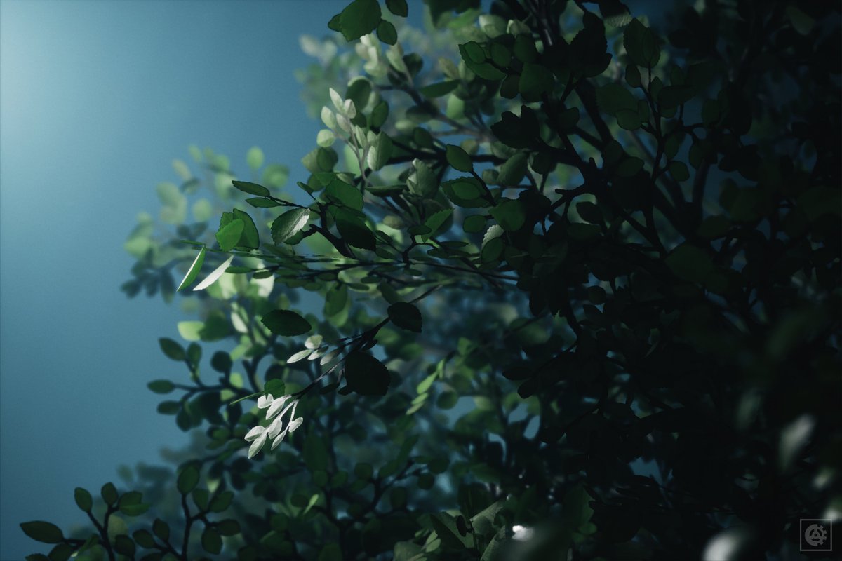 chavageddon's tweet image. East Maddon Park
🎮 #LushfoilPhotographySim

#PS5share #VirtualPhotography #VGPunite