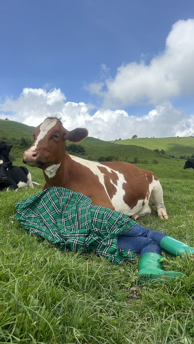 I grew up in the small, green village of Bigogwe, nestled in the hills of Rwanda, where cows are more than animals they are the heart of our way of life. In our community, cows were our greatest joy, our closest companions, and our most treasured possessions.

They provided more