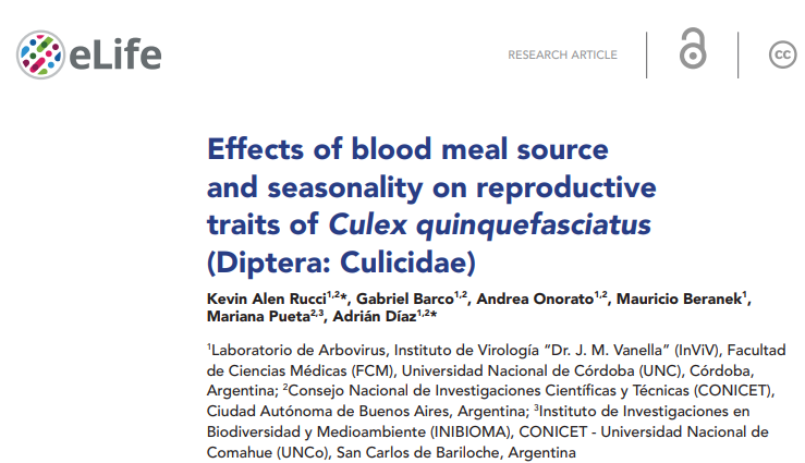 Kevin Rucci tweet media