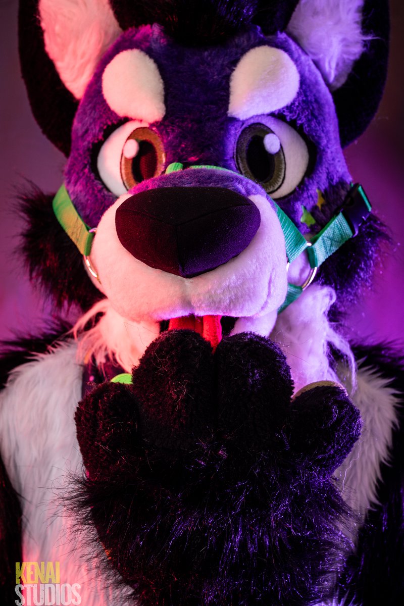 Monday is finally over! No better way to celebrate than booking a shoot with us.
kenai-studios.com

#furry #fursuit #furryfandom #kink #photography #kinkphotography #gayphotography #kinkster #kink