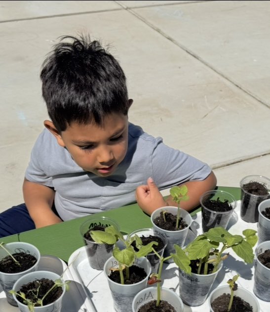 Little hands, big discoveries! Our preschoolers explored the plant life cycle — from tiny seeds to blooming flowers. Watching their curiosity grow was just as magical as the plants themselves!