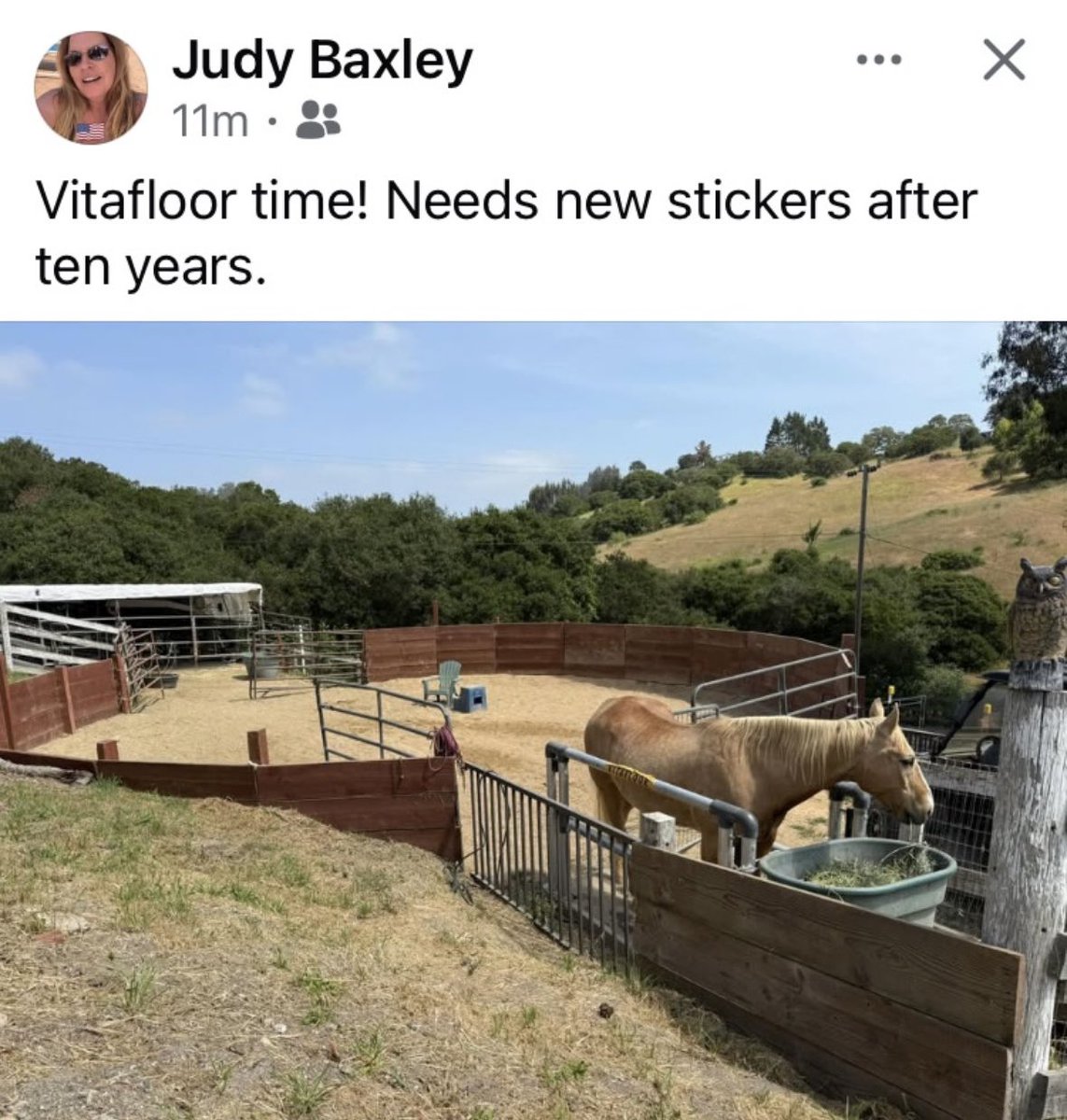 When the only thing falling apart after ten years is the label, you know you picked the right floor. Talk about long-lasting performance!🤯🕰️