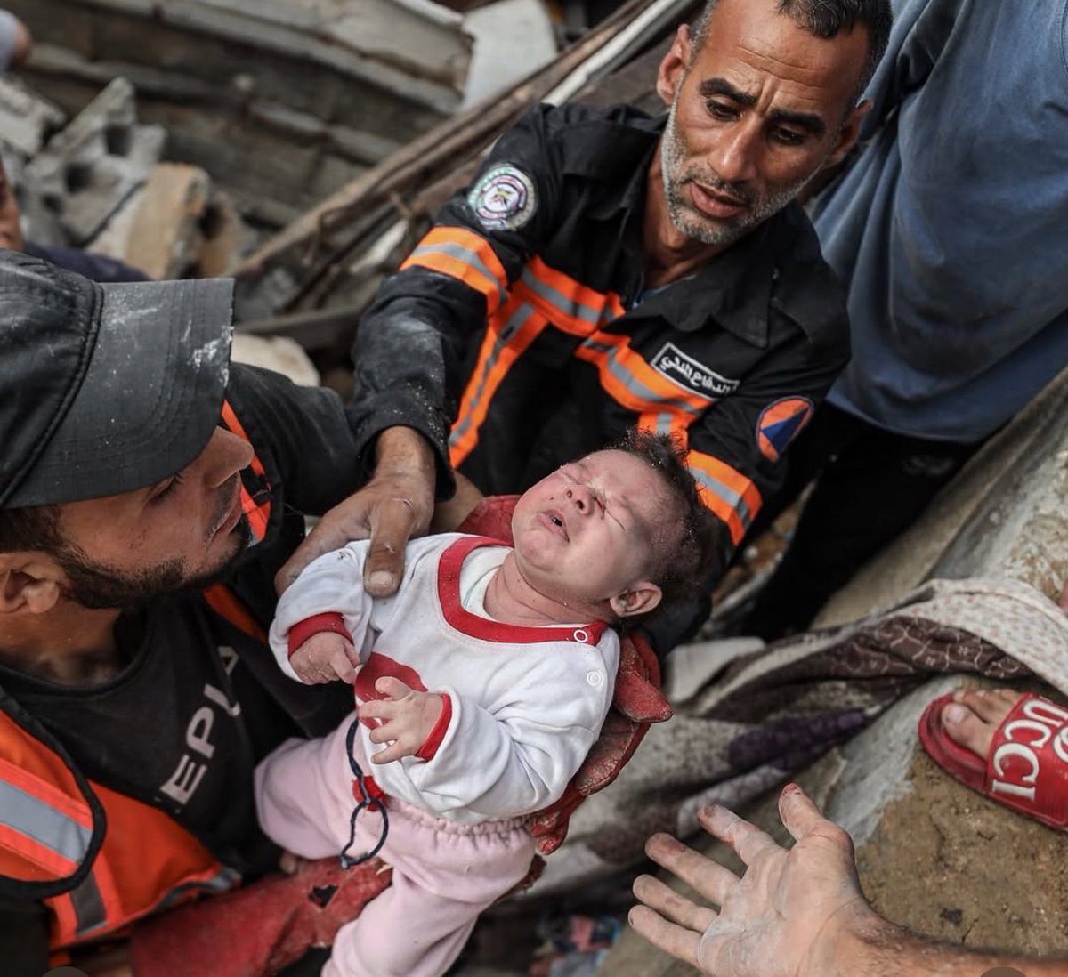 Gaza Notifications tweet media
