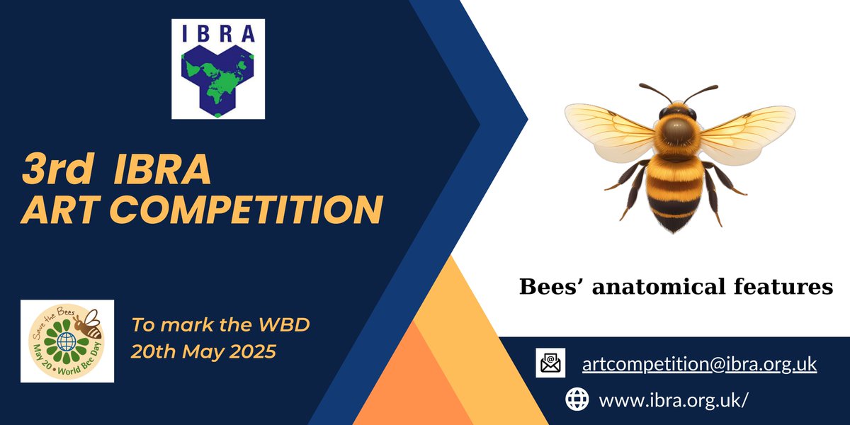 IBRA announces its 3rd International Art Competition on photographs of  Bees' Anatomical Features!
Deadline to send your photographs : 31st of July 2025
Send your contributions to: artcompetition@ibra.org.uk
more details on the submission: ibra.org.uk
#WorldBeeDay