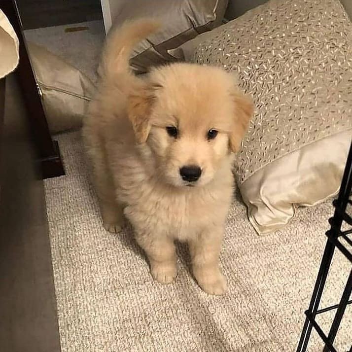 นี่ทุกคน