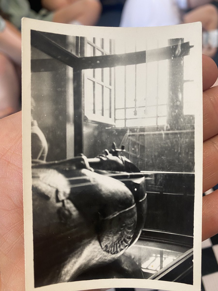 Mrs Kirkhope & R12 (@mrsjkirkhope) on Twitter photo Thank you so much to N for bringing in these special photographs, taken by his grandparents on a trip to Egypt a long time ago. The Polaroids were so interesting to look at and the class were super excited to see them! <a href="/LawmuirPS/">Lawmuir PS</a> Thank you so much to N for bringing in these special photographs, taken by his grandparents on a trip to Egypt a long time ago. The Polaroids were so interesting to look at and the class were super excited to see them! <a href="/LawmuirPS/">Lawmuir PS</a>