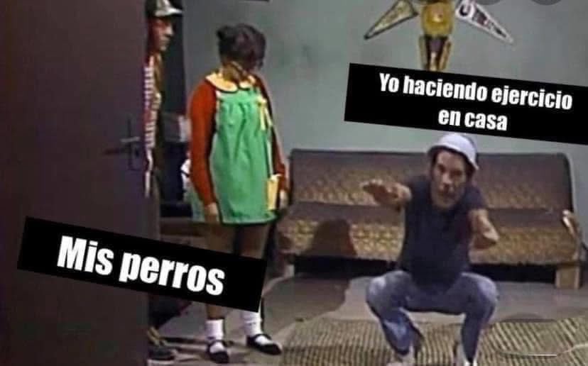 Dilo con perritos (@diloconperritos) on Twitter photo 