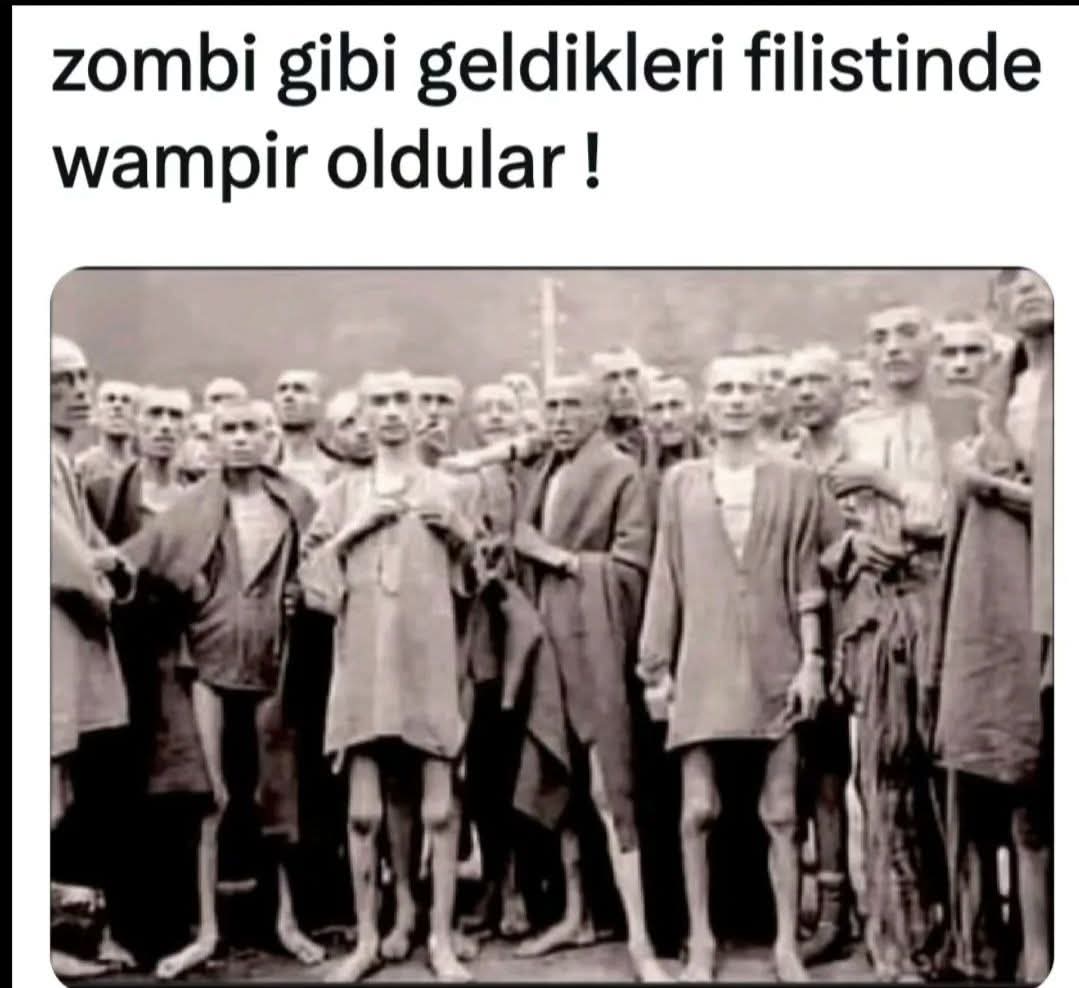 SevkiKarabekir's tweet photo. Bizi hep merhametimiz mahvetti.
1495'te İspanyolların katliamından kaçan Yahudilere kucak açtık onları selanik'e yerleştirdik.
Çanakkale Savaşı'nda siyon taburları kurup bize karşı savaştılar...
Bu resimdekiler de Filistin'e gelenler https://t.co/VKgGEtfj5S