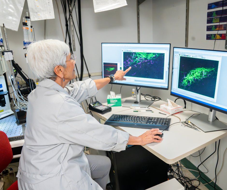 Dr. Nirupa Chaudhari recieved the 2025 Max Mozell Award for Outstanding Achievement in the Chemical Senses! 🧠 Discover her research on how taste receptors work, how we perceive flavors, and why certain foods become our favorites over time: loom.ly/TZ4ncdU