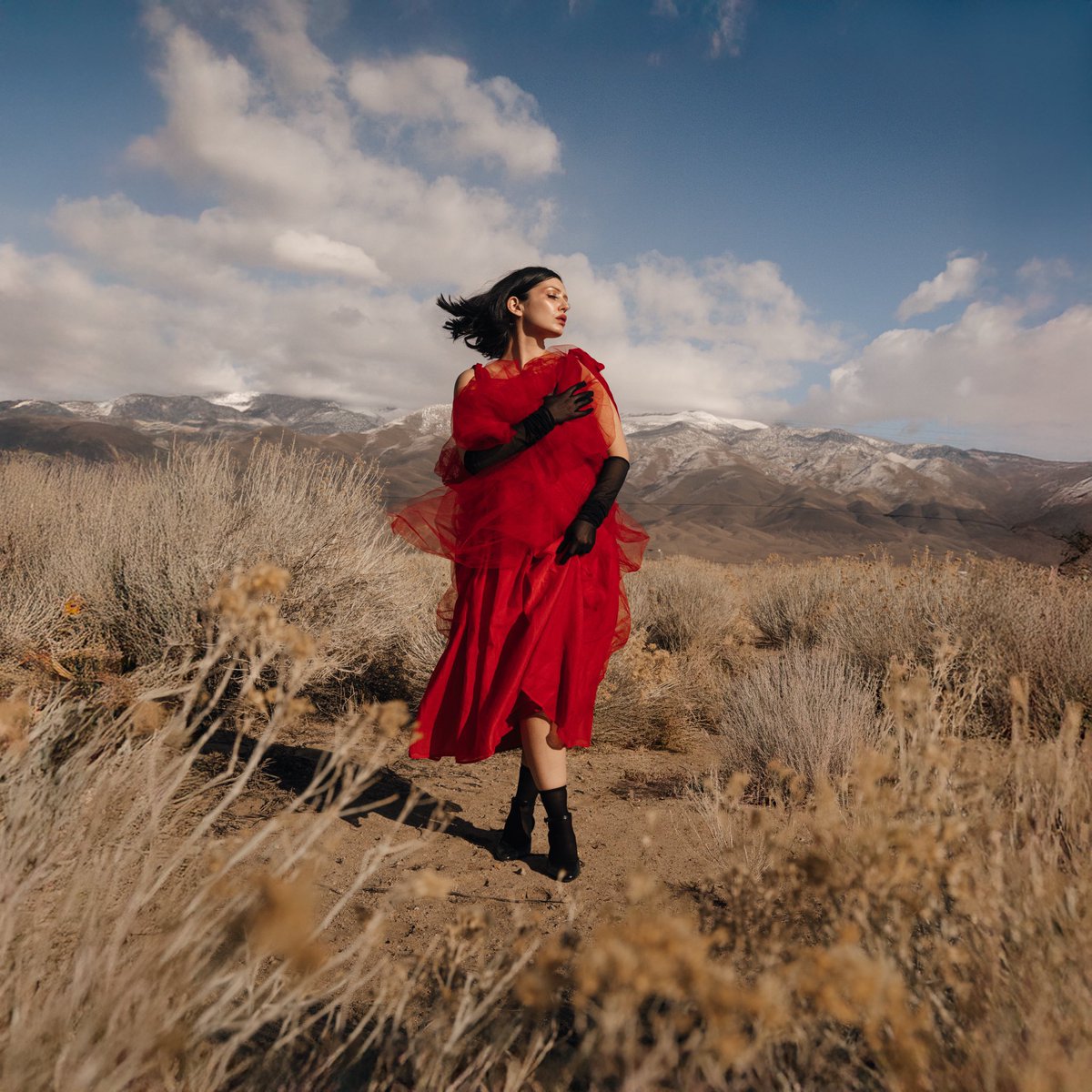 GRACEYNEWS's tweet photo. the ladybug has landed. 

🐞 LADYBUG EP — OUT JULY 10 🐞

Pre-save here: https://t.co/fR6z6hghF9 https://t.co/jKr0YKBVbm
