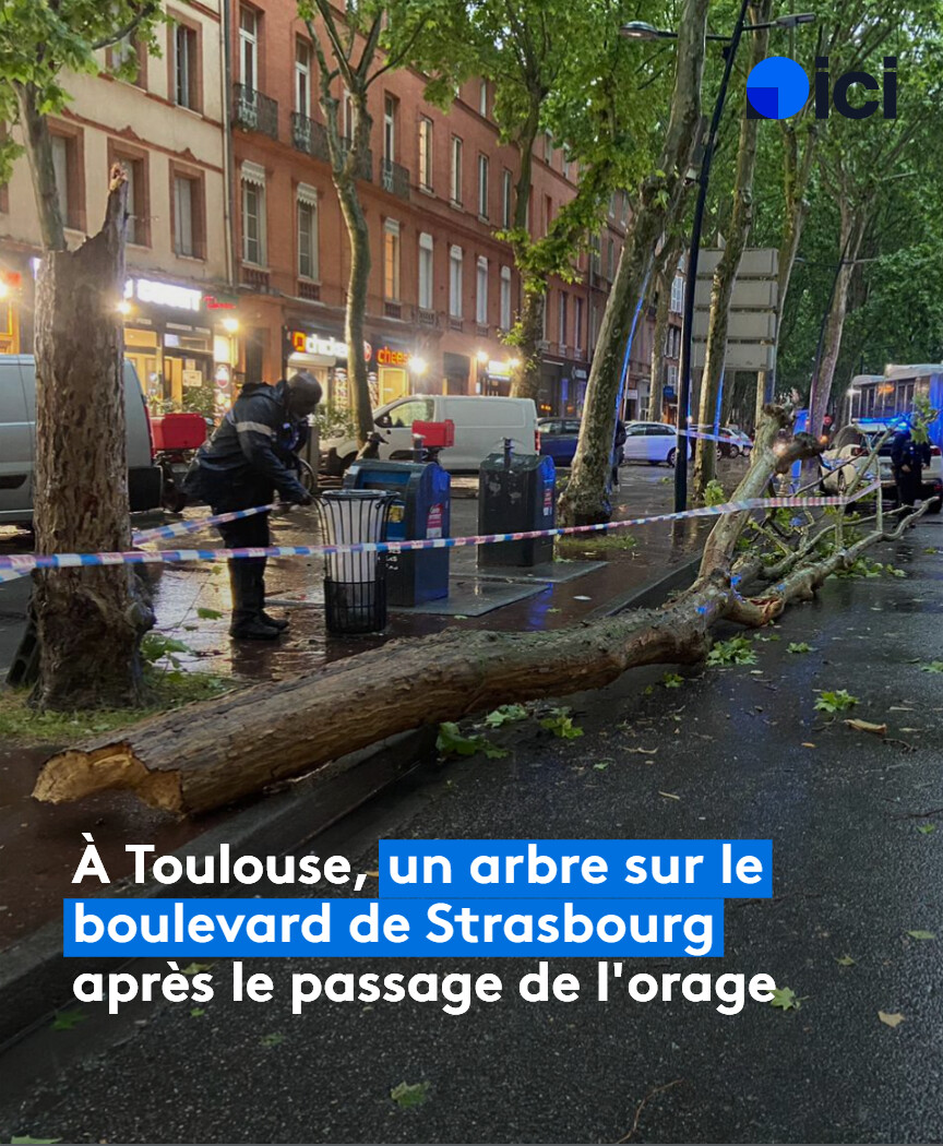 Pascal Boureau (@pboureau31) on Twitter photo Merci aux pompiers du <a href="/sdis31officiel/">Sapeurs-pompiers 31</a> pour leurs très nombreuses interventions sur l'ensemble de la <a href="/HauteGaronne/">Haute-Garonne</a> depuis le milieu de l'après-midi et tout au long de cette soirée agitée, ponctuée de violents orages avec grêle, pluies intenses et très fortes rafales ! Merci aux pompiers du <a href="/sdis31officiel/">Sapeurs-pompiers 31</a> pour leurs très nombreuses interventions sur l'ensemble de la <a href="/HauteGaronne/">Haute-Garonne</a> depuis le milieu de l'après-midi et tout au long de cette soirée agitée, ponctuée de violents orages avec grêle, pluies intenses et très fortes rafales !