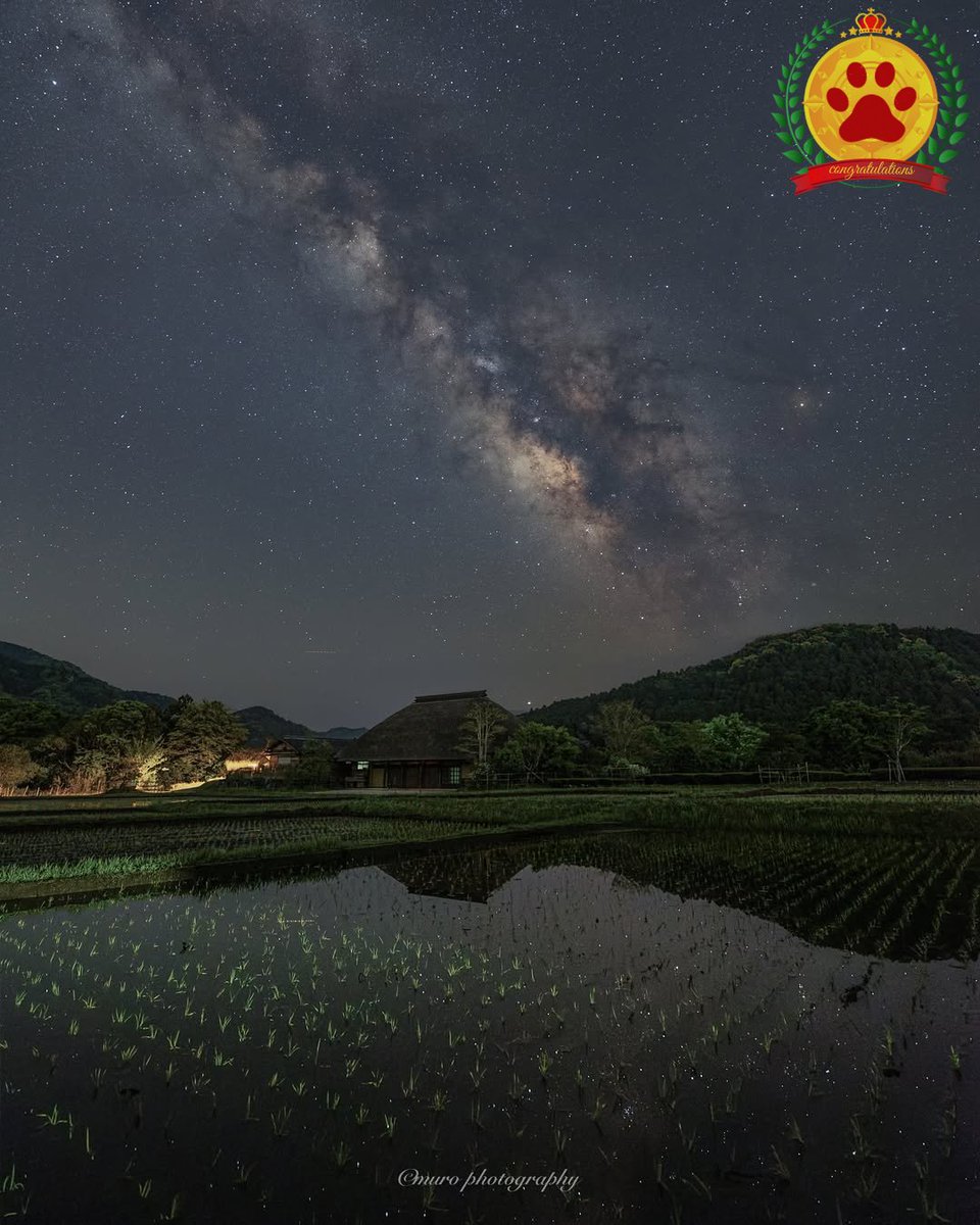 nekocafe_star's tweet image. 5月20日、星空gallery
『今日の1枚』より
📷photographer : @murosangram
instagram.com/p/DJ2dI2hTDrV/
#猫のいる星空cafe