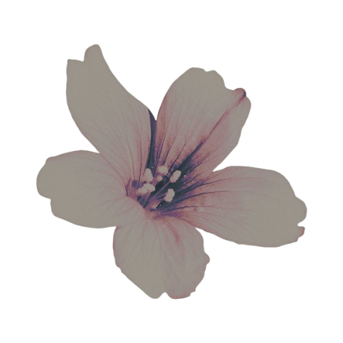 passi2on's tweet photo. ͏ ͏ ͏ ͏ ͏ ͏ ͏ https://t.co/WVtdugPQ3G