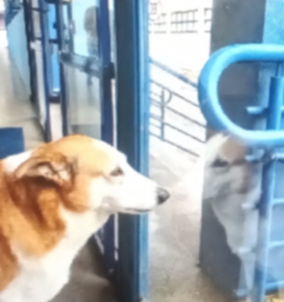 > vc ama uma roupa que viu por aí e começa a procurar 
> vc encontra no google e clica no link 
> vc vê que começou a carregar o site da farfetch