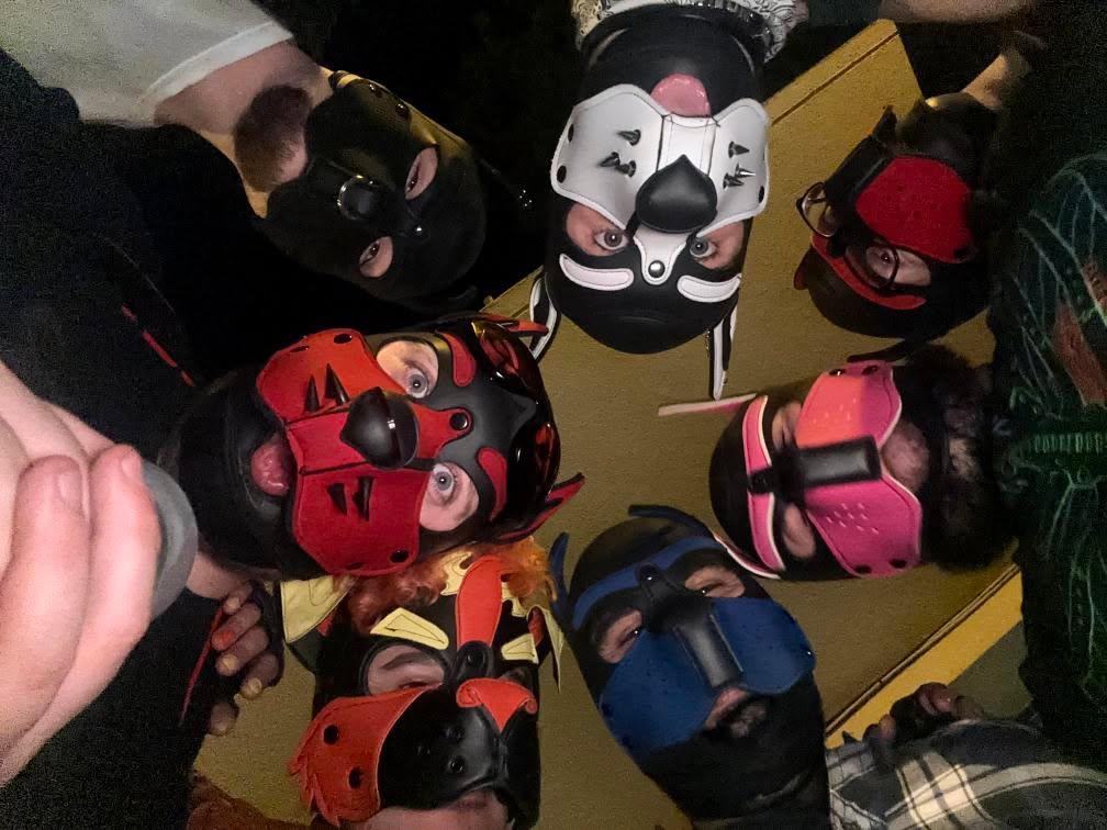 ❤️Shiny Pupper🖤 tweet media