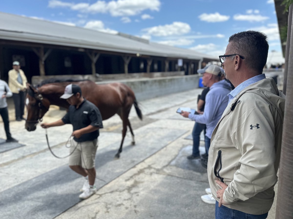 AdolphsonRacing's tweet photo. Trainers from @RacingDubai looking for future #DubaiWorldCup stars at the @FasigTiptonCo Midlantic May 2YO Sale. #FasigMD #BhupatSeemar #DougWatson #AhmadBinHarmash #MarwanAlBaidhaei https://t.co/rgyOhlQ1nI