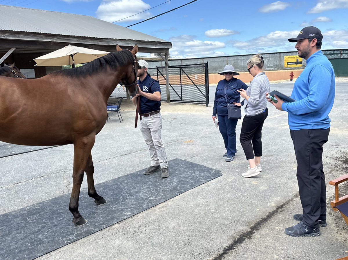 AdolphsonRacing's tweet photo. Trainers from @RacingDubai looking for future #DubaiWorldCup stars at the @FasigTiptonCo Midlantic May 2YO Sale. #FasigMD #BhupatSeemar #DougWatson #AhmadBinHarmash #MarwanAlBaidhaei https://t.co/rgyOhlQ1nI