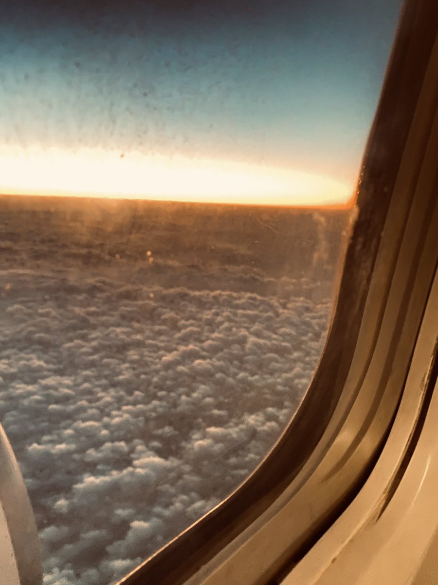 MayarHaggag's tweet photo. I hope this to be my view 24/7 🤍 https://t.co/TDshIkOmTC