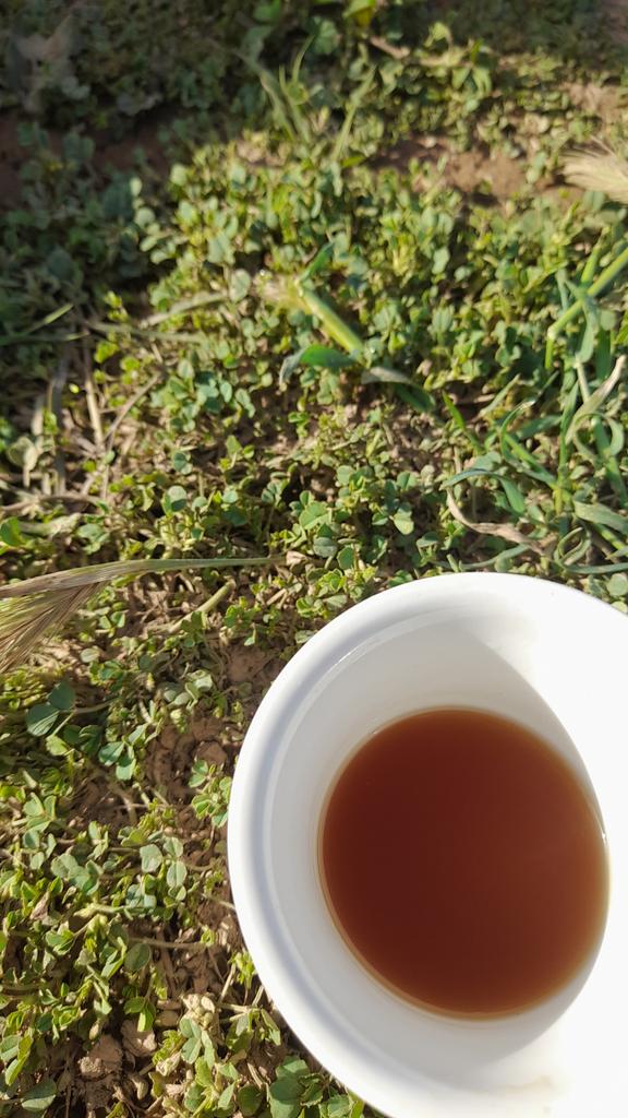 شوق ☕ tweet media