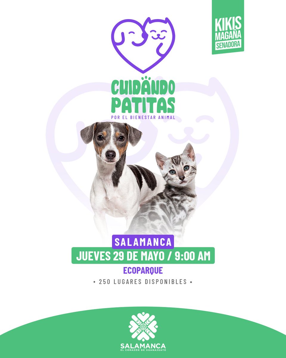 #CuidandoPatitas llega a #Salamanca. Llevamos jornadas de bienestar animal, esterilización, estética y concientización en nuestro estado.

Esta vez, nos toca Salamanca, y vamos con todo para cuidar a nuestros amigos de 4 patas como se merecen.

Regístrate previamente al:
Tel. 464