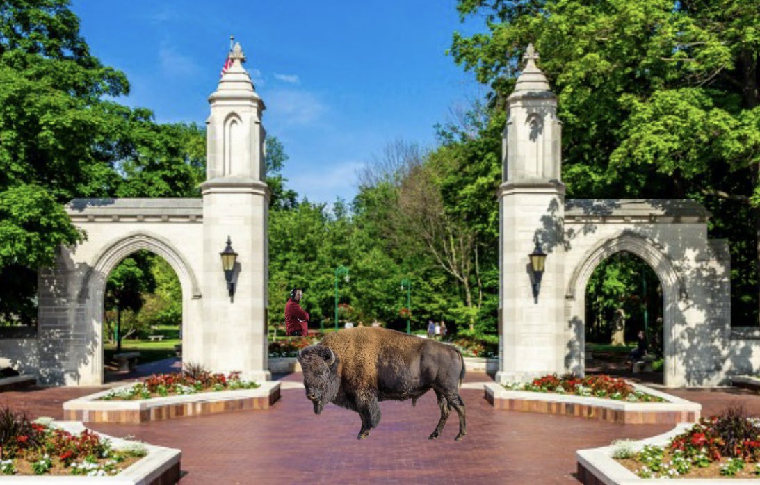Yo what is going on by Sample Gates rn