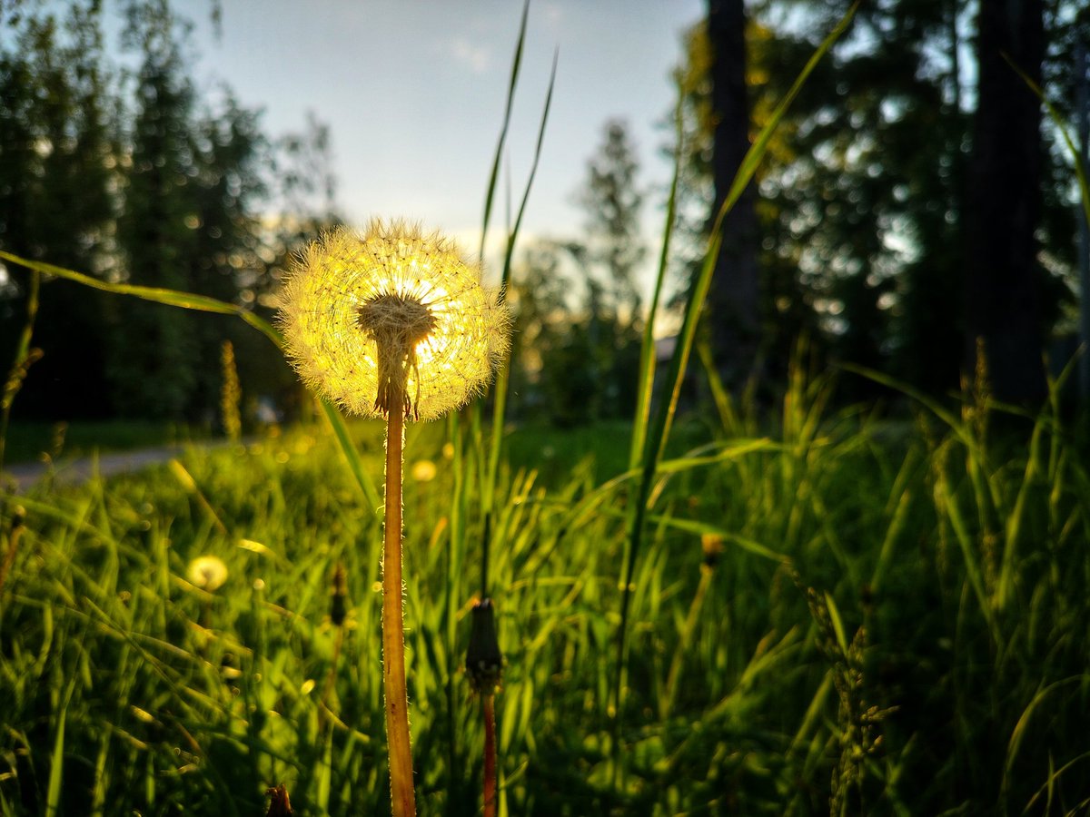 Ksenia9753's tweet photo. Good evening ❤
#myfoto https://t.co/Tzk7OAZQNz