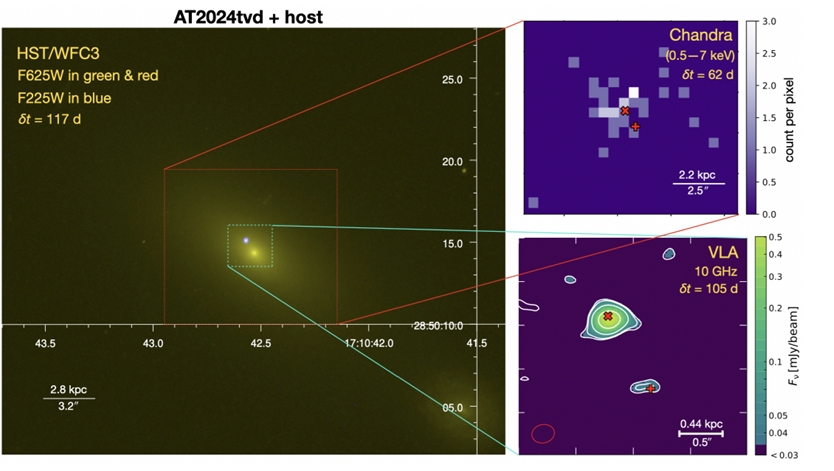 Erika (@explorecosmos_) on Twitter photo Astronomers at the University of California, <a href="/UCBerkeley/">UC Berkeley</a> , have identified a rare cosmic event: a massive black hole, ~ one million times the mass of our Sun, devouring a star about 2,600 light-years from the center of its host galaxy. This phenomenon, known as a tidal disruption Astronomers at the University of California, <a href="/UCBerkeley/">UC Berkeley</a> , have identified a rare cosmic event: a massive black hole, ~ one million times the mass of our Sun, devouring a star about 2,600 light-years from the center of its host galaxy. This phenomenon, known as a tidal disruption
