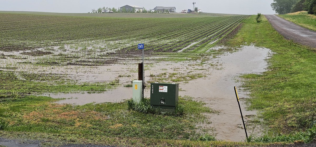 My #notiil corn on the left.  Full tillage on the right.  1" of rain in 1 hour.  You decide.