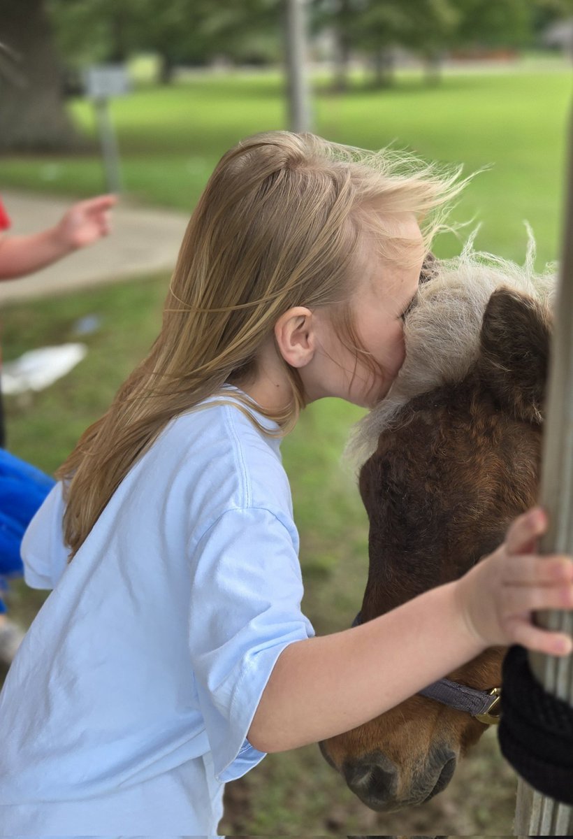 Diegoranchinc's tweet image. At Diego Ranch, we make dreams come true. Who wants to be a part of something great by showing your love with your very own Diego Ranch  t shirt.  All proceeds go towards healing children and veterans. CLICK ON THE LINK BELOW TO MAKE A DIFFERENCE customink.com/fundraising/di…