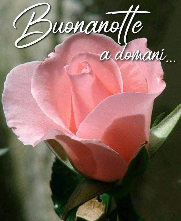 RITABIANCHi56 tweet media