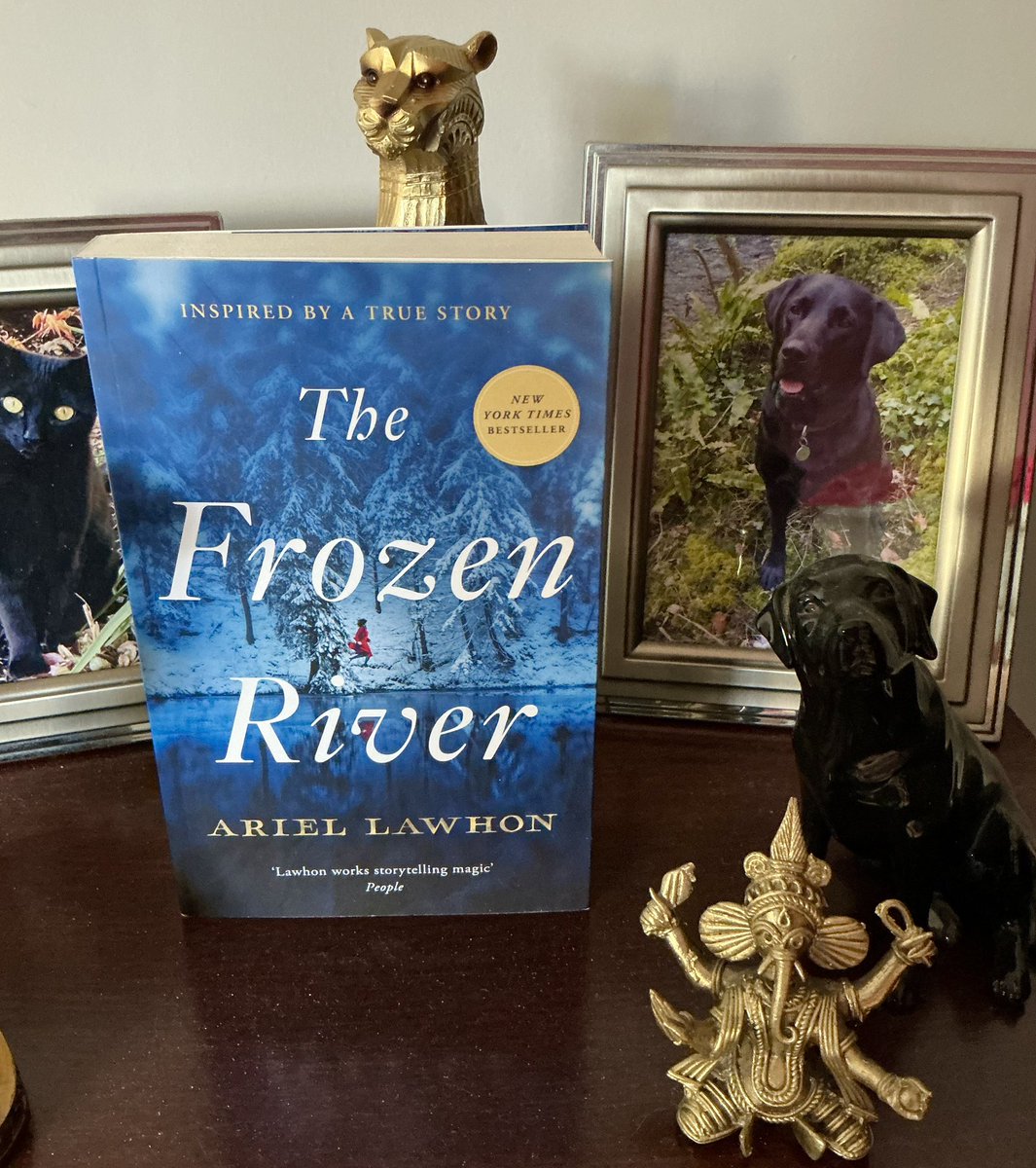 Lynda’s Book Reviews and News (@lyndacheckley) on Twitter photo 📮📮BOOK POST📮📮
Many thanks <a href="/_SwiftPress/">Swift Press</a> for this copy of #TheFrozenRiver by <a href="/ArielLawhon/">Ariel Lawhon</a>
I’ve heard lots of good things about this. I’m looking forward to reading it. 📮📮BOOK POST📮📮
Many thanks <a href="/_SwiftPress/">Swift Press</a> for this copy of #TheFrozenRiver by <a href="/ArielLawhon/">Ariel Lawhon</a>
I’ve heard lots of good things about this. I’m looking forward to reading it.