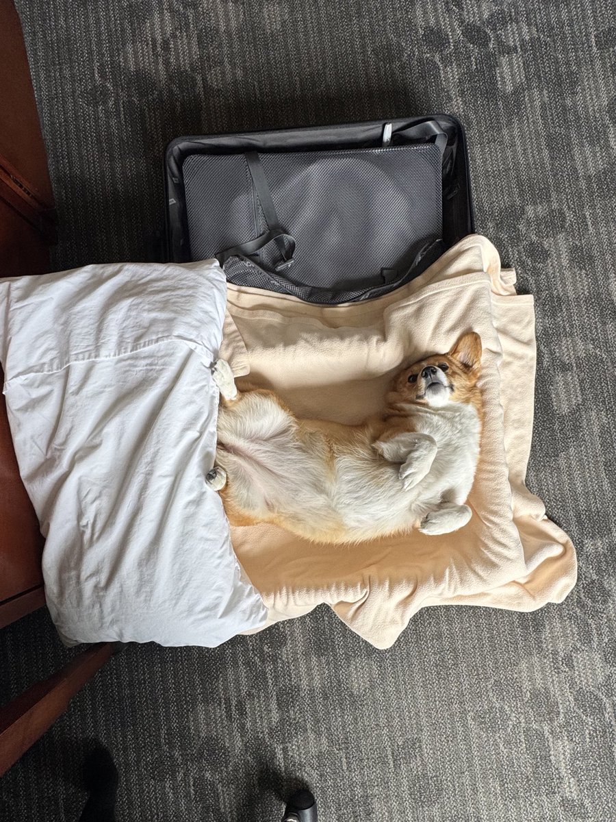 Jessica Ramberg tweet media