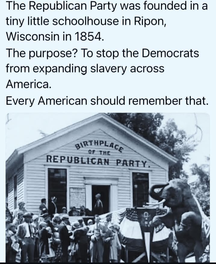 Tim Rogers tweet media