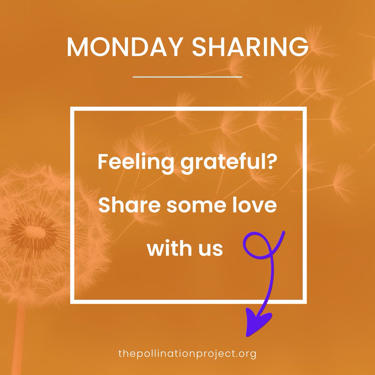 Pollinationproj's tweet image. 🌼 Has TPP inspired you or your work?
 Drop a word, memory, or message of appreciation.
 Let’s celebrate compassion in action! 💛🌍

 #MondaySharing #ThePollinationProject #CompassionInAction