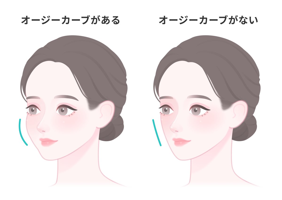 バズってたオージーカーブとは？
→こめかみ辺りから頬にかけて描かれるS字の滑らかな曲線のこと。

このラインが整っていると中顔面が短く見えたり、若々しい印象に！頬に立体感あると写真撮る時も盛れるし、ハイライトやチークも映える🎀
