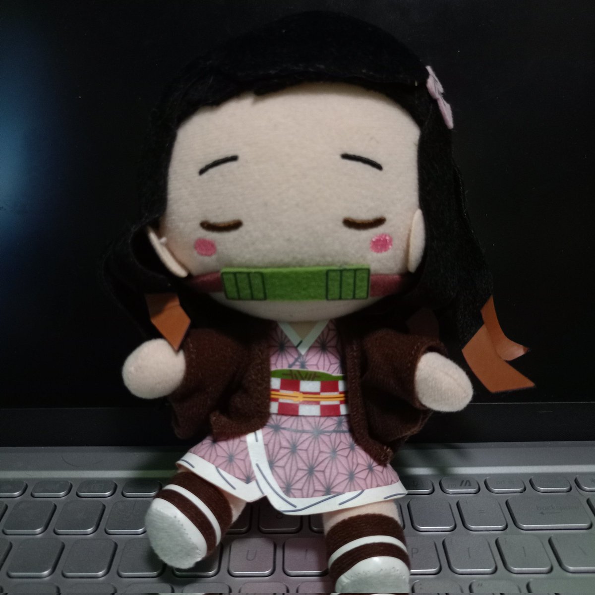 PrincessAlli6's tweet photo. WTS LFB
🩷Demon Slayer Plush charms🩷
prices nasa "ALT"

- onhand 
- from japan
- prio payo full!! 
- mop: gcash
- mod: Direct j&amp;t (monday -tuesday)
- loc: antipolo city rizal

Tags: nezuko, mitsuri, Fuwa medium and small, Chokonokko https://t.co/vXc4B3afds