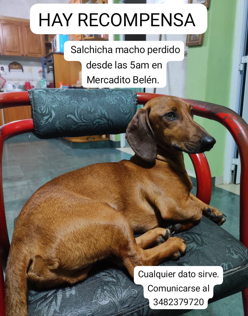 Limon se perdió.
Me ayudan compartiendo?