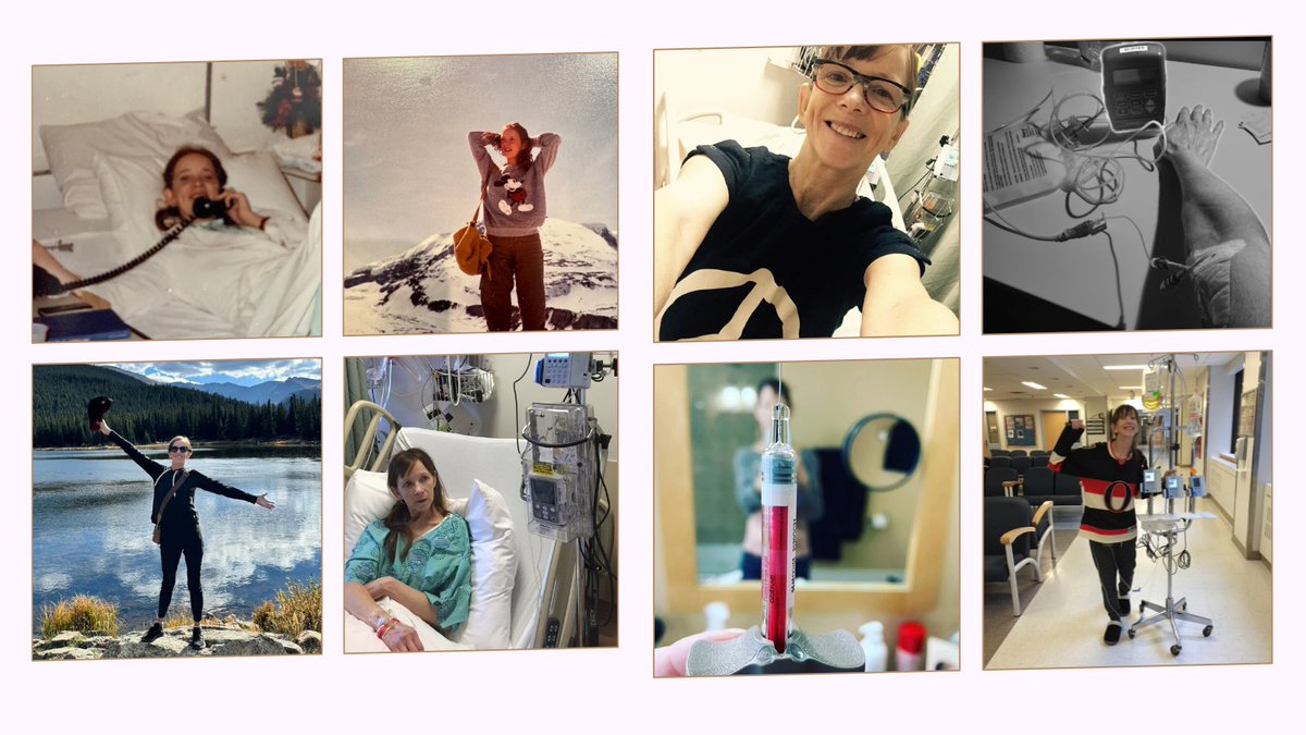 Sherry Pang ☮️ tweet media