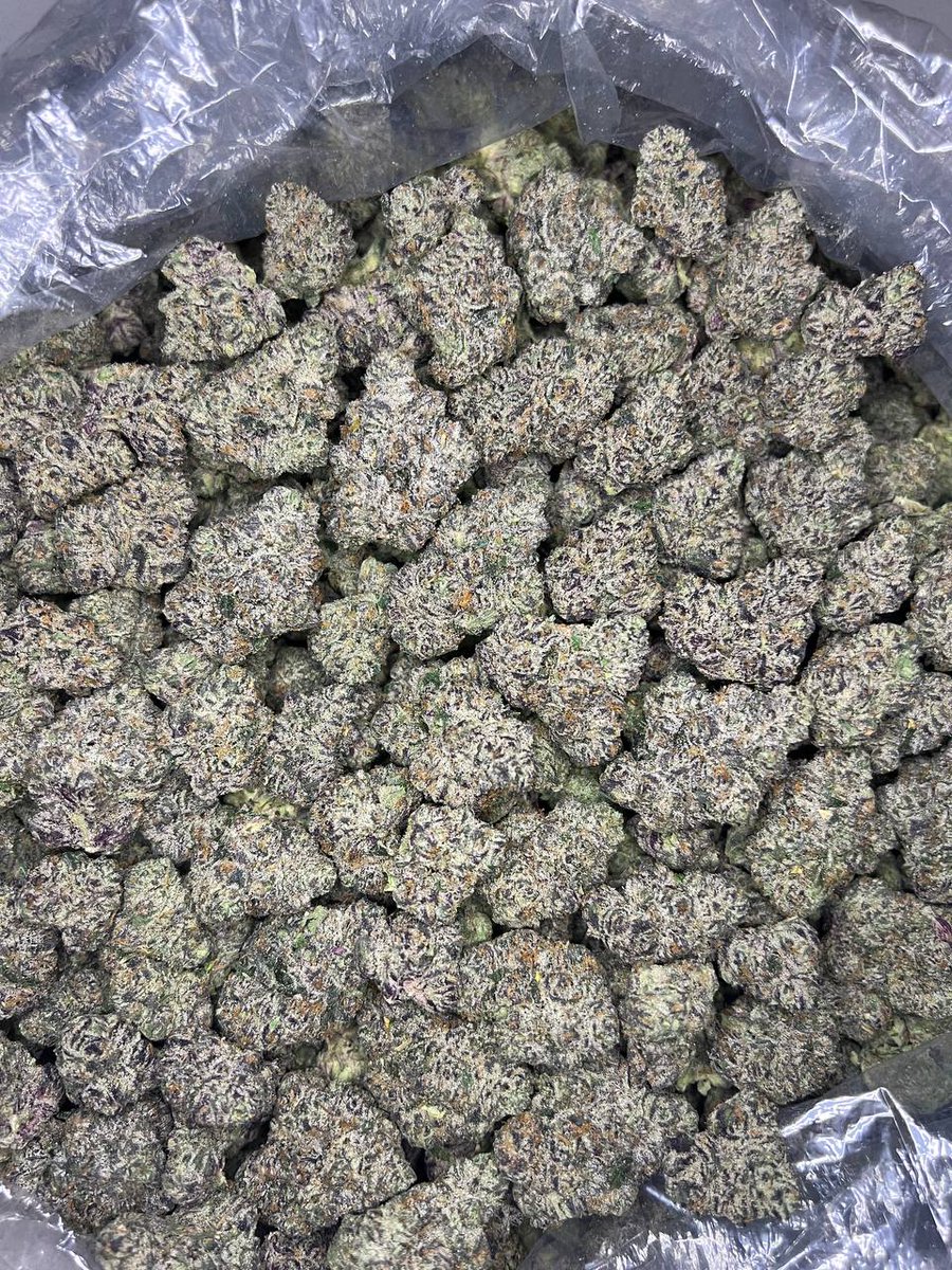 LiftedleafHQ's tweet photo. 🔥 PINK RUNTZ 🔥 https://t.co/9wbt3BrtpA