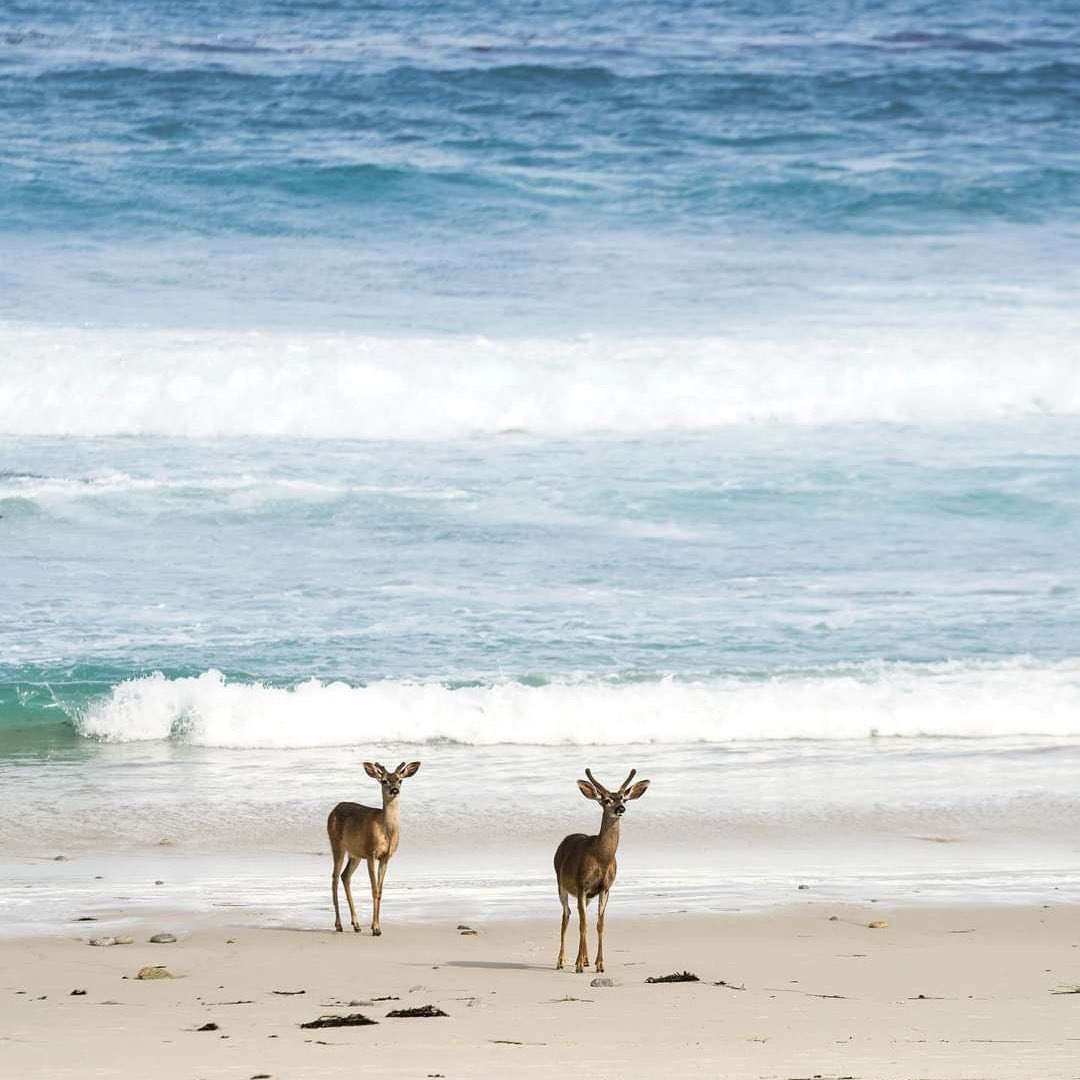 #أبوظبي مدينة تحتضن القلوب قبل الأجساد ..❤️❤️❤️❤️