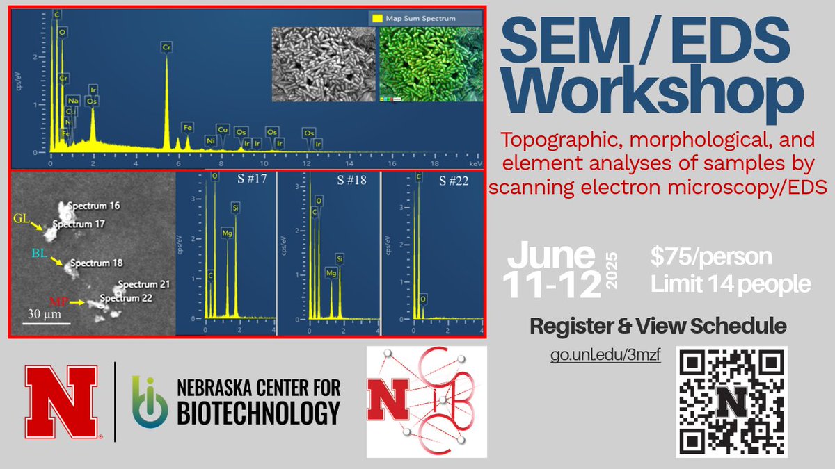 UNL Biotech Center (@biotechunl) on Twitter photo Join us next month for the SEM / EDS workshop hosted by our Microscopy Core! A <a href="/Hitachi_US/">Hitachi U.S.A.</a> rep will be joining us as well. You won't want to miss out on this training opportunity!
Register: go.unl.edu/3mzf
<a href="/CIBC_nebraska/">Nebraska CIBC</a> <a href="/UNLresearch/">Nebraska Research</a> Join us next month for the SEM / EDS workshop hosted by our Microscopy Core! A <a href="/Hitachi_US/">Hitachi U.S.A.</a> rep will be joining us as well. You won't want to miss out on this training opportunity!
Register: go.unl.edu/3mzf
<a href="/CIBC_nebraska/">Nebraska CIBC</a> <a href="/UNLresearch/">Nebraska Research</a>