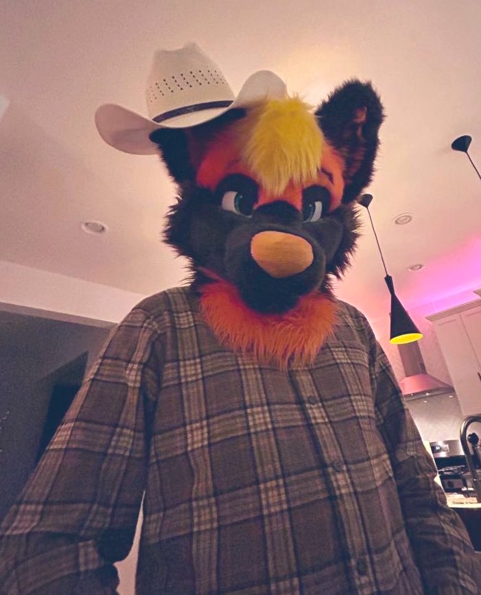 Shock you followers 🐶

-Toured as a junior golfer 🏌️ 

-Has no feeling in right foot 🦶 

-Been to 20 countries 🌎

-One of the Highest rated furry disc golfers 😎🥏