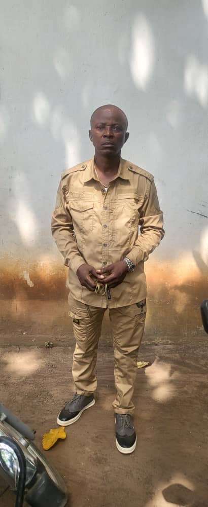 acprdcongo's tweet image. #RDC : la dégradation de la situation socio-économique de la population de Nioki, une cité de la province du Maï-Ndombe dans le sud-ouest de la République démocratique du Congo, a été attribuée à la faillite de la Société de développement forestier (#Sodefor), poumon économique…