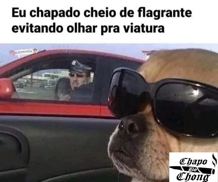 Chapo Do Chong (@chapodochong) on Twitter photo 