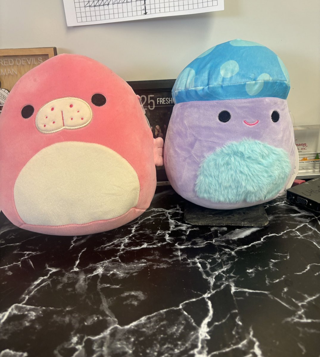 MathWithMsBretz's tweet image. Big congratulations to Briella &amp;amp; Preston for winning the MAP growth award of the year!!!!! They both tied and grew a whopping 27 points on their MAP test this year! So proud of this achievement. They received the “map manatee” and “map mushroom” as prizes 😊