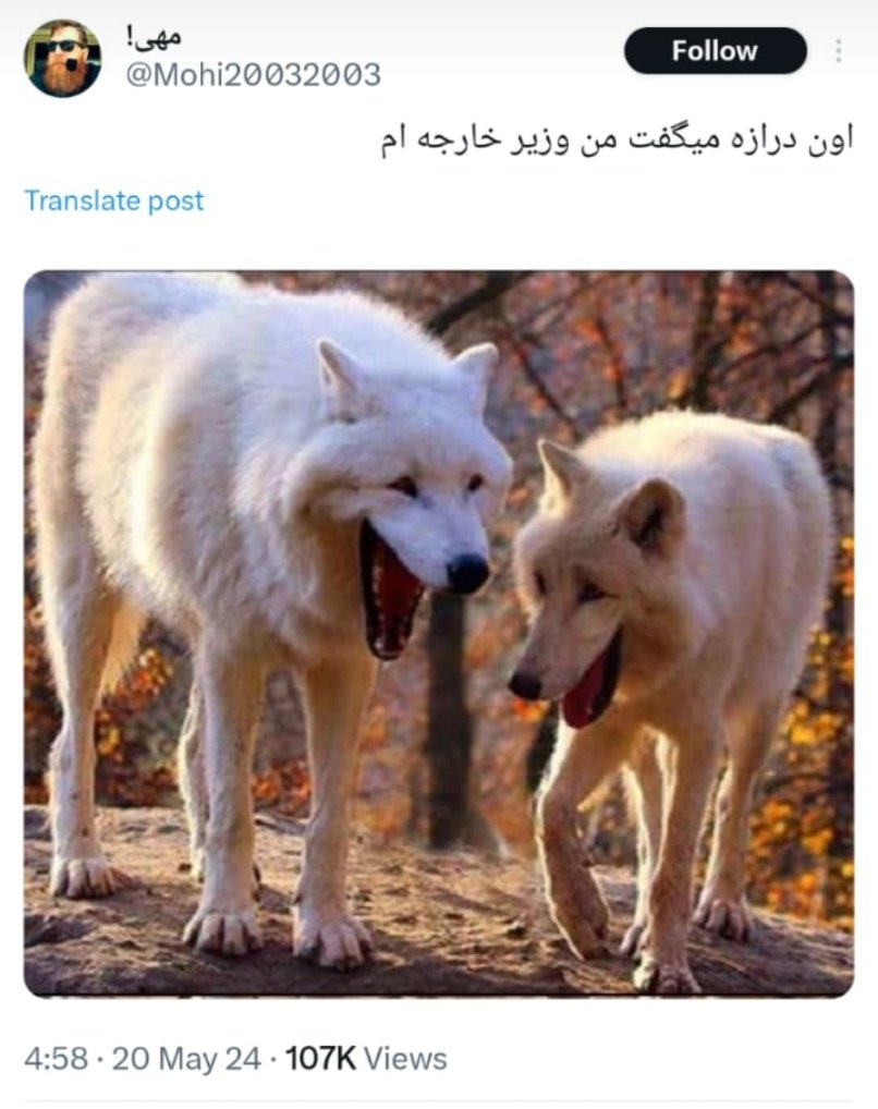 یک شب شاااااااااااااااد :))