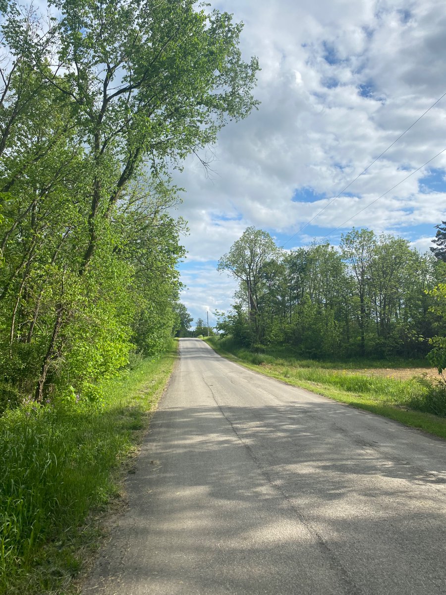 Last night, I took a 3 1/2 mile walk &amp; enjoyed the wildflowers! Today, working on #editing but getting ready now for my daughter’s senior year (&amp; final) academic night!